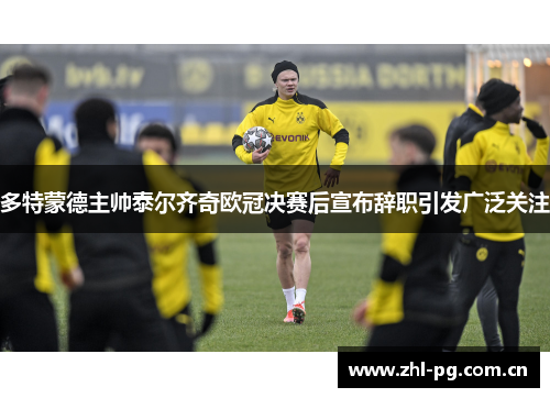 多特蒙德主帅泰尔齐奇欧冠决赛后宣布辞职引发广泛关注